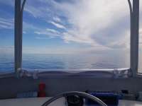 Great day of scuba diving in Key Largo with Rainbow Reef on spiegel grove tropical destiny 2018 07 15 r6526 1