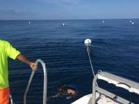 Great day of scuba diving in Key Largo with Rainbow Reef on spiegel grove tropical destiny 2018 07 16 r6535 1