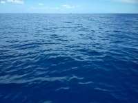 Great day of scuba diving in Key Largo with Rainbow Reef on spiegel grove tropical explorer 2018 07 12 r6504 1