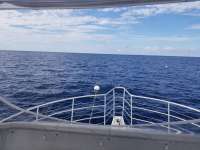 Great day of scuba diving in Key Largo with Rainbow Reef on spiegel grove tropical odyssey 2018 07 12 r6498 1