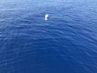 Great day of scuba diving in Key Largo with Rainbow Reef on uscgc duane tropical destiny 2018 07 10 r6479 1