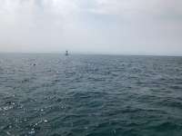 Great day of scuba diving in Key Largo with Rainbow Reef on winch hole tropical destiny 2018 07 24 r6630 1