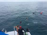 Great day of scuba diving in Key Largo with Rainbow Reef on benwood wreck tropical adventure 2018 06 10 r6137 1