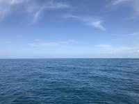 Great day of scuba diving in Key Largo with Rainbow Reef on benwood wreck tropical adventure 2018 06 15 r6192 1