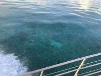 Great day of scuba diving in Key Largo with Rainbow Reef on benwood wreck tropical odyssey 2018 06 23 r6300 1