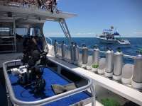 Great day of scuba diving in Key Largo with Rainbow Reef on benwood wreck tropical serenity 2018 06 04 r6074 1