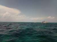 Great day of scuba diving in Key Largo with Rainbow Reef on christ statue tropical adventure 2018 06 08 r6115 1