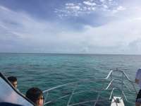 Great day of scuba diving in Key Largo with Rainbow Reef on christ statue tropical adventure 2018 06 10 r6141 1