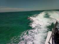 Great day of scuba diving in Key Largo with Rainbow Reef on christ statue tropical destiny 2018 06 04 r6077 1