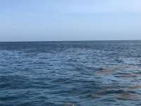 Great day of scuba diving in Key Largo with Rainbow Reef on christ statue tropical legend 2018 06 16 r6213 1