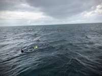 Great day of scuba diving in Key Largo with Rainbow Reef on christ statue tropical odyssey 2018 06 11 r6148 1