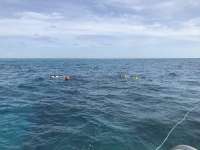 Great day of scuba diving in Key Largo with Rainbow Reef on christmastree cave santana 2018 06 26 r6321 1