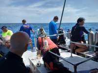 Great day of scuba diving in Key Largo with Rainbow Reef on conch wall tropical explorer 2018 06 08 r6119 1