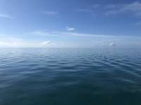 Great day of scuba diving in Key Largo with Rainbow Reef on crf nursery tropical voyager 2018 06 02 r6037 1
