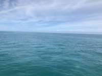 Great day of scuba diving in Key Largo with Rainbow Reef on crf nursery tropical voyager 2018 06 02 r6046 1