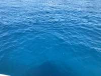 Great day of scuba diving in Key Largo with Rainbow Reef on drift french tropical destiny 2018 06 29 r6353 1