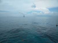 Great day of scuba diving in Key Largo with Rainbow Reef on drift molasses tropical explorer 2018 06 30 r6367 1