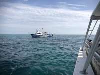Great day of scuba diving in Key Largo with Rainbow Reef on eagle ray alley santana 2018 06 10 r6134 1