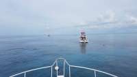 Great day of scuba diving in Key Largo with Rainbow Reef on eagle ray alley santana 2018 06 20 r6255 1