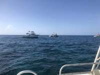 Great day of scuba diving in Key Largo with Rainbow Reef on eagle ray alley santana 2018 06 27 r6329 1