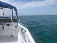Great day of scuba diving in Key Largo with Rainbow Reef on eagle ray alley tropical adventure 2018 06 07 r6102 1