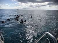 Great day of scuba diving in Key Largo with Rainbow Reef on eagle ray alley tropical serenity 2018 06 03 r6054 1