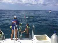 Great day of scuba diving in Key Largo with Rainbow Reef on eagle ray alley tropical serenity 2018 06 23 r6288 1