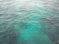Great day of scuba diving in Key Largo with Rainbow Reef on eagle ray alley tropical voyager 2018 06 14 r6181 1