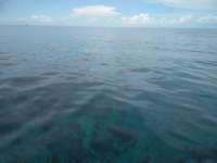 Great day of scuba diving in Key Largo with Rainbow Reef on eagle ray alley tropical voyager 2018 06 19 r6246 1