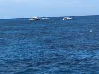 Great day of scuba diving in Key Largo with Rainbow Reef on elbow reef tropical adventure 2018 06 02 r6050 1