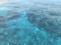 Great day of scuba diving in Key Largo with Rainbow Reef on fire coral cave tropical destiny 2018 06 19 r6247 1