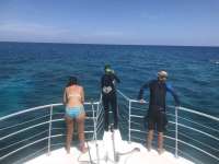 Great day of scuba diving in Key Largo with Rainbow Reef on fire coral cave tropical legend 2018 06 22 r6284 1