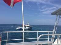 Great day of scuba diving in Key Largo with Rainbow Reef on fire coral cave tropical legend 2018 06 23 r6298 1