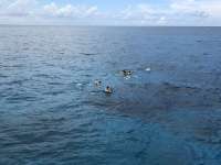 Great day of scuba diving in Key Largo with Rainbow Reef on french reef tropical serenity 2018 06 18 r6239 1