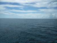 Great day of scuba diving in Key Largo with Rainbow Reef on french reef tropical voyager 2018 06 25 r6318 1