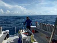 Great day of scuba diving in Key Largo with Rainbow Reef on french reef tropical voyager 2018 06 30 r6363 1