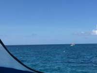 Great day of scuba diving in Key Largo with Rainbow Reef on french twist tropical adventure 2018 06 05 r6081 1
