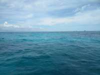 Great day of scuba diving in Key Largo with Rainbow Reef on grecian rocks tropical voyager 2018 06 01 r6025 1