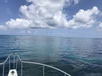Great day of scuba diving in Key Largo with Rainbow Reef on molasses reef santana 2018 06 26 r6325 1