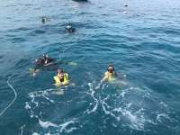 Great day of scuba diving in Key Largo with Rainbow Reef on molasses reef tropical adventure 2018 06 15 r6200 1