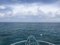 Great day of scuba diving in Key Largo with Rainbow Reef on molasses reef tropical adventure 2018 06 24 r6306 1