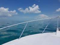 Great day of scuba diving in Key Largo with Rainbow Reef on molasses reef tropical explorer 2018 06 23 r6291 1