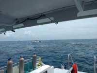 Great day of scuba diving in Key Largo with Rainbow Reef on molasses reef tropical legend 2018 06 18 r6232 1