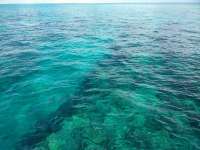 Great day of scuba diving in Key Largo with Rainbow Reef on molasses reef tropical voyager 2018 06 06 r6092 1