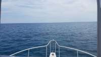Great day of scuba diving in Key Largo with Rainbow Reef on north star santana 2018 06 20 r6257 1