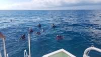 Great day of scuba diving in Key Largo with Rainbow Reef on north star tropical legend 2018 06 04 r6068 1