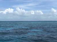 Great day of scuba diving in Key Largo with Rainbow Reef on pickles reef tropical legend 2018 06 01 r6024 1