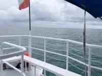 Great day of scuba diving in Key Largo with Rainbow Reef on sand island tropical adventure 2018 06 13 r6162 1