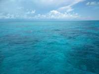 Great day of scuba diving in Key Largo with Rainbow Reef on sand island tropical voyager 2018 06 18 r6236 1