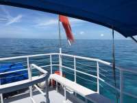 Great day of scuba diving in Key Largo with Rainbow Reef on snapper ledge tropical adventure 2018 06 02 r6041 1